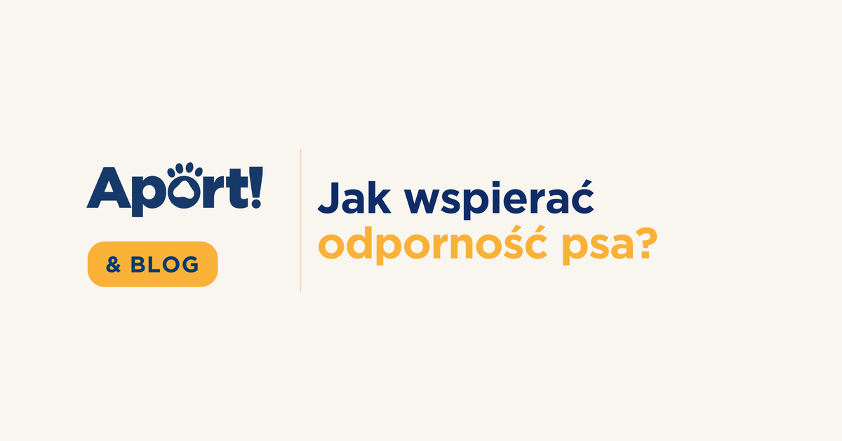 jak wspierać odpornośc psa